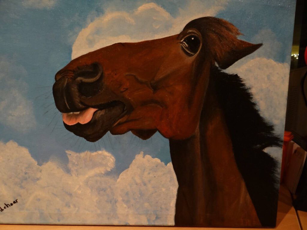 dierenpenseel met passie