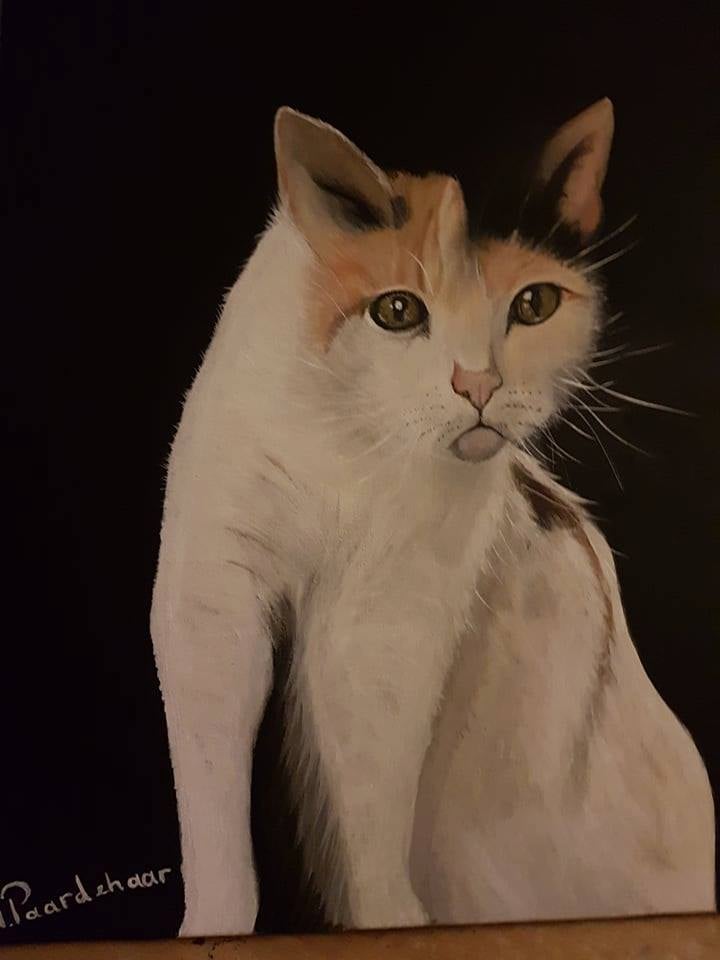 dierenpenseel met passie