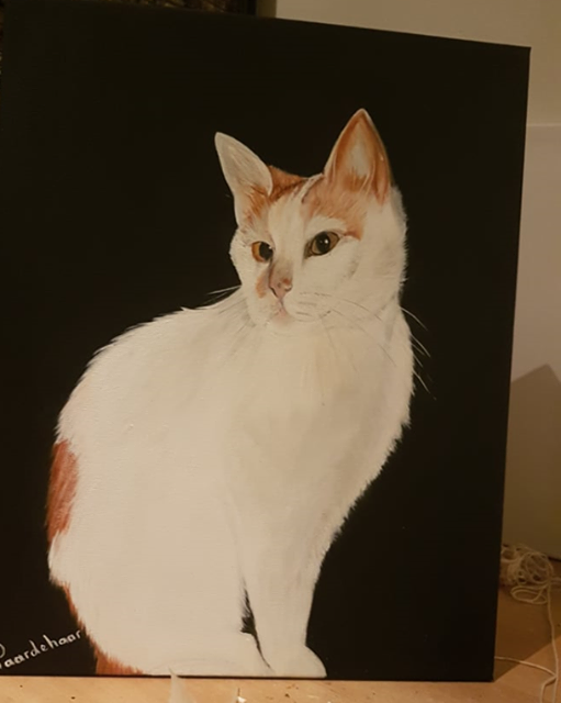 dierenpenseel met passie