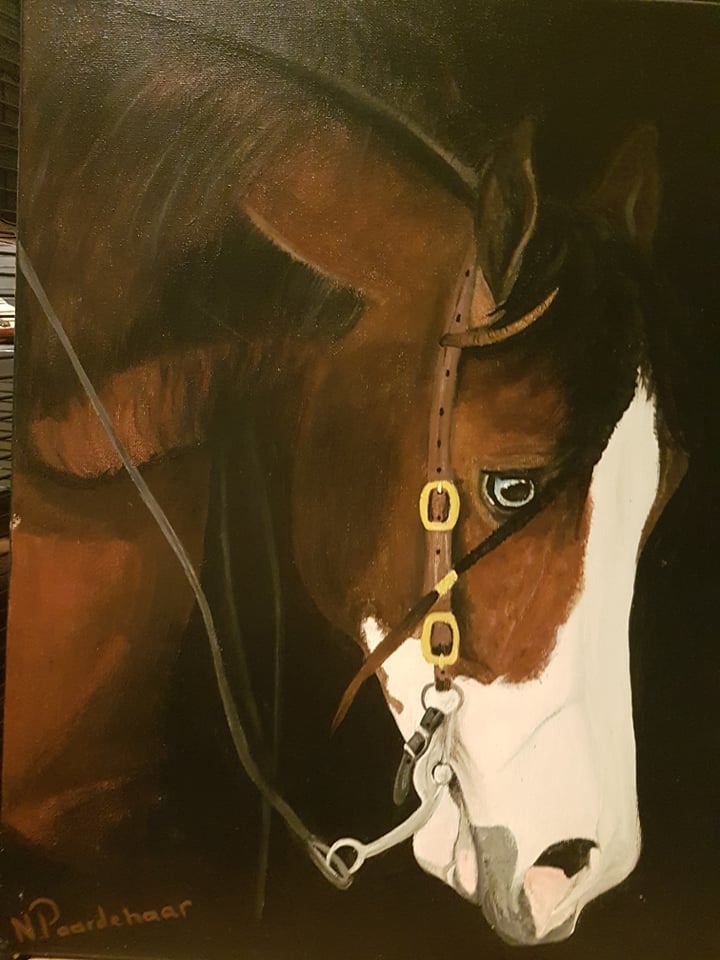 dierenpenseel met passie