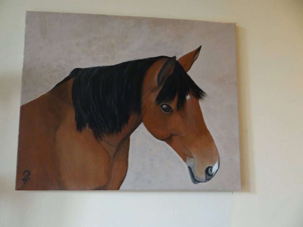 dierenpenseel met passie