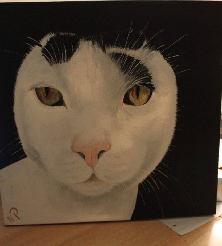 dierenpenseel met passie