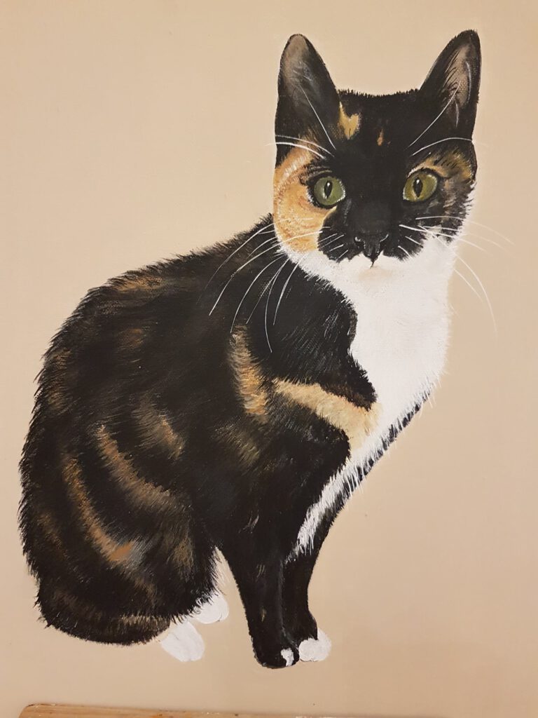 dierenpenseel met passie